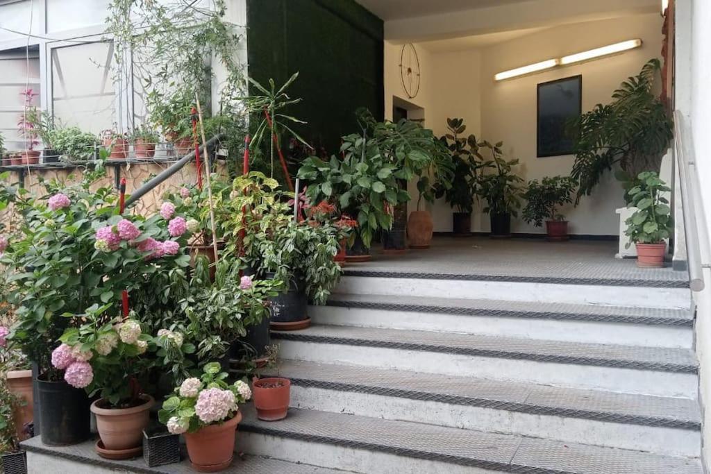 Apartamento Pazari_Ri_Studio Tirana Exterior foto
